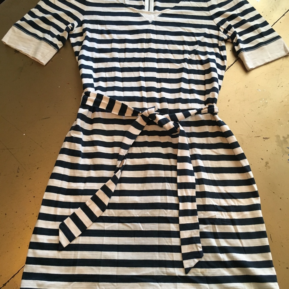 Banana Republic Striped Cotton Dress